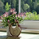 Gschwanderhof 아파트 *