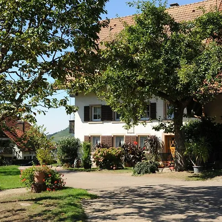 Gschwanderhof 公寓 *