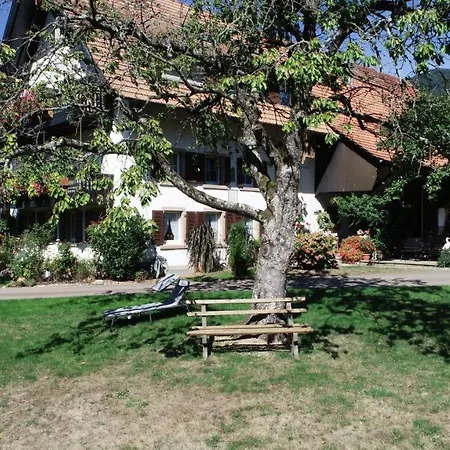 Gschwanderhof Apartment